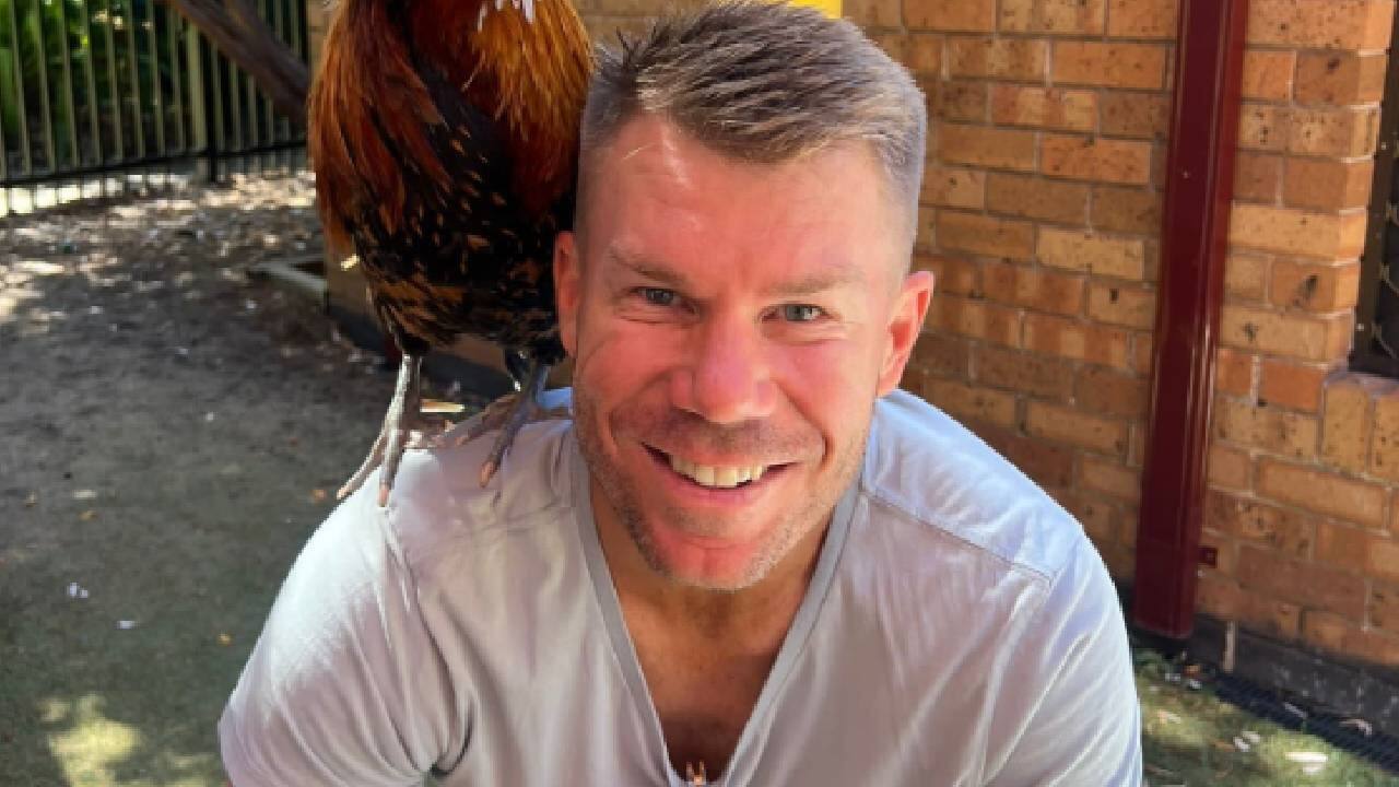David Warner