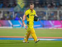 As David Warner bids farewell to 50-over format, a look at his ODI career in numbers
