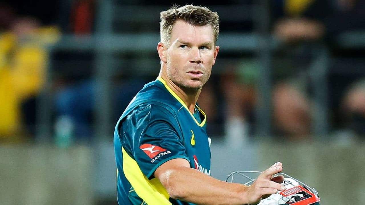 David Warner