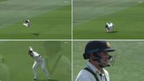 Glenn Phillips stunning catch leaves Marnus Labuschagne seething in Christchurch