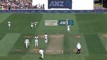 Watch: Kane Williamson’s Run-Out Amid Mid-Pitch Collision