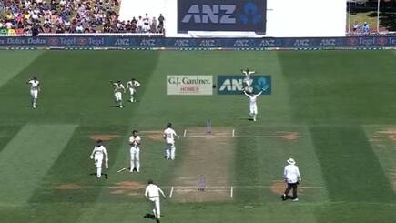 Watch: Kane Williamson’s Run-Out Amid Mid-Pitch Collision