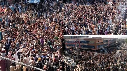 Cricket fans converge in large numbers to celebrate Afghanistan historic win over Australia in T20 World Cup