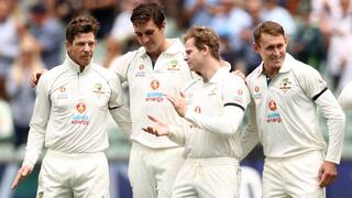 former Australian captain Tim Paine appointed as a head coach of Adelaide strikers