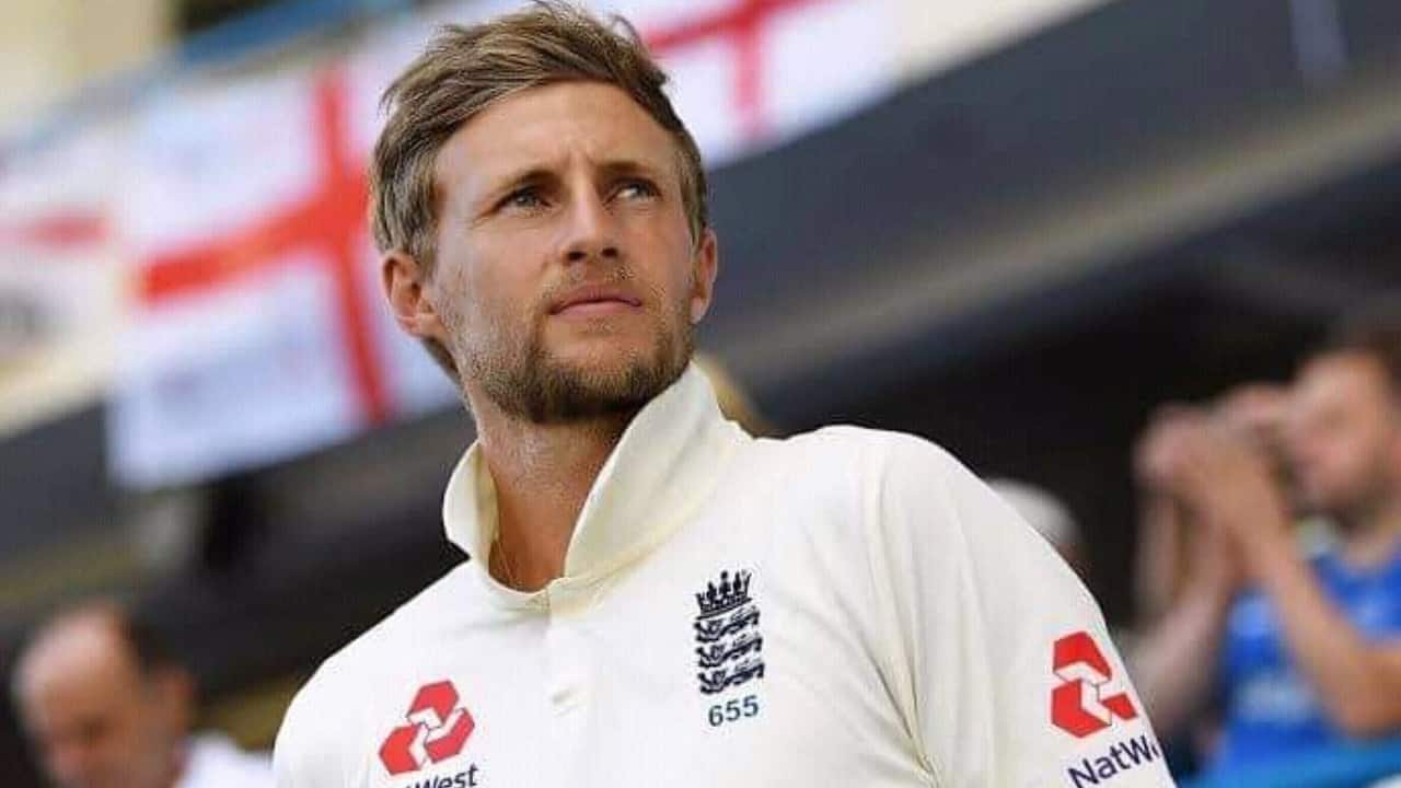 Root during a Test match