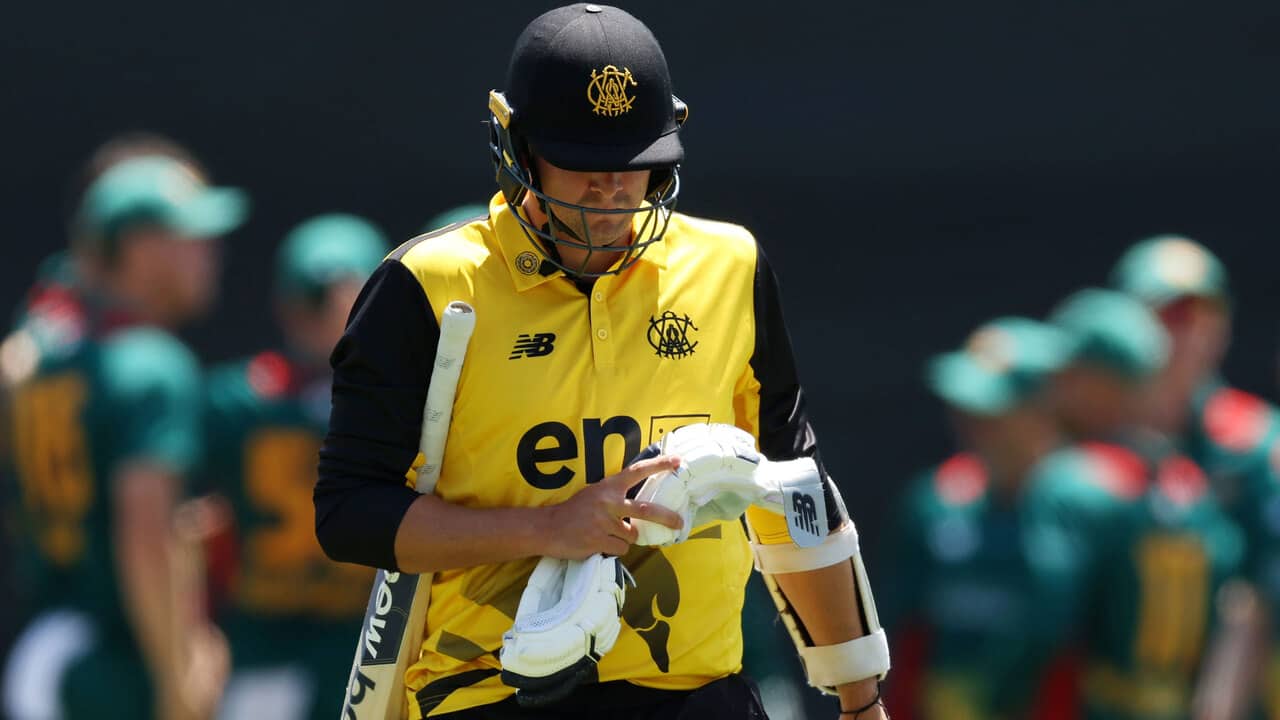 Western Australia batter heading back to the dugout