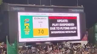 From flying ants to sunlight: Here are the 5 matches that were stopped due to bizarre reasons
