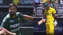 WATCH: Haris Rauf dismisses Glenn Maxwell in third consecutive ODI