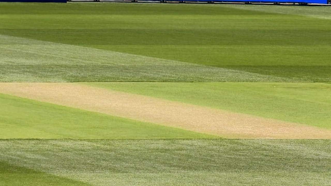 Adelaide Oval pitch