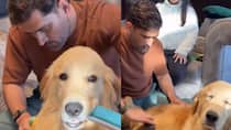 WATCH: CSK shared MS Dhoni and his daughter’s video, Spotted grooming their pet Dog