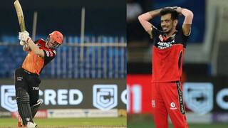 David Warner to Yuzvendra Chahal: Top performers in season 9 of IPL