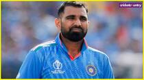 Mohammad shami will pay four lakh per month for maintenance to his wife and daughter calcutta High court ordered