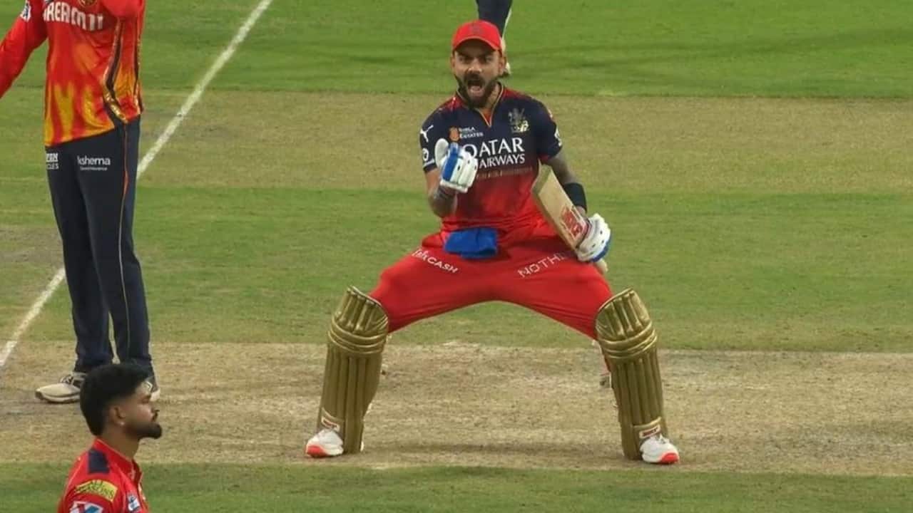 kohli Celebration