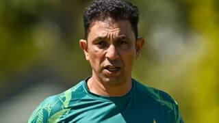 Pakistan Cricket Board announces Azhar Mahmood as acting red-ball head coach
