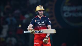 Good news for RCB as star player Phil Salt joins team ahead of IPL 2025 Final clash against PBKS