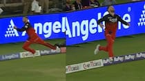 WATCH: Phil Salt take Stunning catch against Punjab Kings in IPL 2025 Final