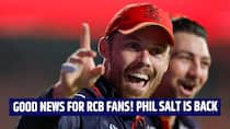 Big boost for RCB! Phil Salt likely to return IPL 2026 Playoffs