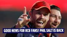 Good news for RCB fans as Phil Salt set to return before IPL 2026 Playoffs