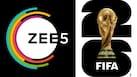 fifa