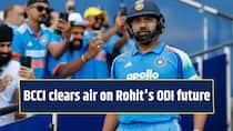BCCI clears air on Rohit Sharma's ODI future