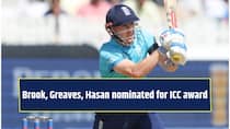 Star players Brook, Greaves, Hasan nominated for ICC award