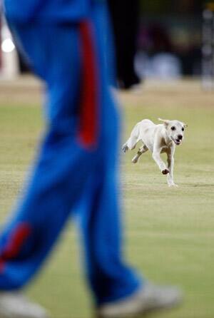 July 26, 2002: Woof! Woof! Another case of ball tampering