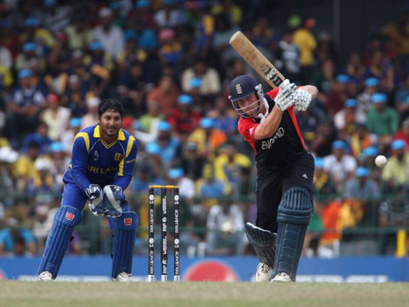 England scrap to 229 against Sri Lanka