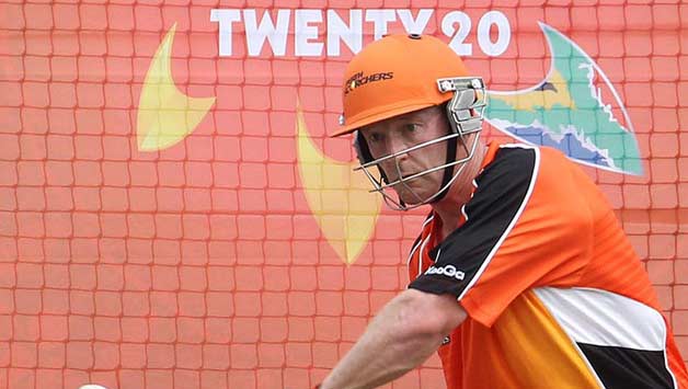 Perth Scorchers vs Auckland Aces