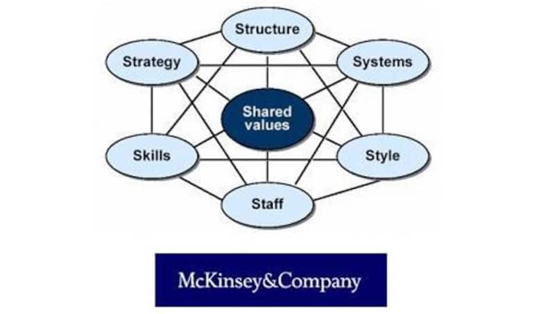 McKinsey management consultants replace axed Australian players ahead of the Mohali Test!