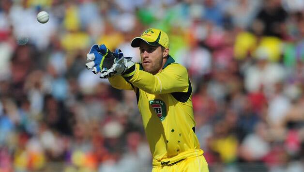 Matthew Wade needs to carve a niche for himself