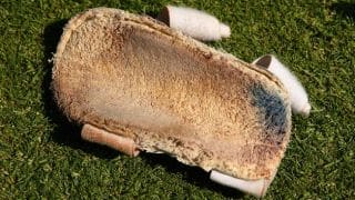 Photo: How dirty can a cricketer's arm guard can be? Check out Chris Rogers's