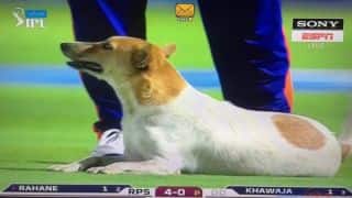 Dog invades cricket field during RPS vs DD IPL 9 game