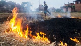 India send crop stubble to South Africa to deploy smog