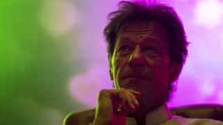 Imran Khan: Pakistan's downfall in international cricket due to PM