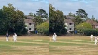cricket viral video