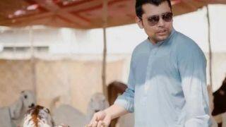 former pakistan cricketers kamran akmal s sacrificial goat gets stolen from his lahore residence